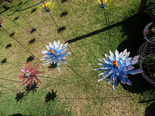 Blue Spinning Flowers